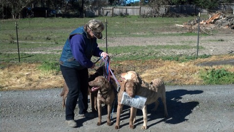 Pic #7 - Saturday morning walk &#38; newspaper